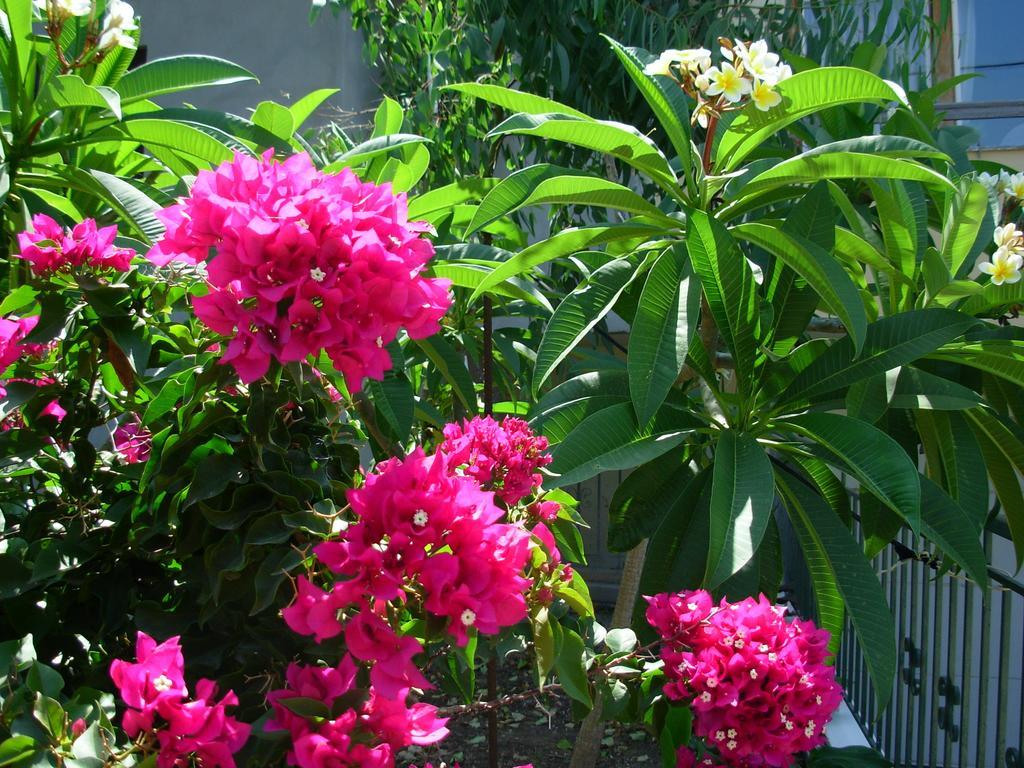 Callista Sea View Or Garden Kíssamos Quarto foto